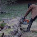 Rooted in Sustainability: How Tree Services Enhance Green Homes in Bethany, OK