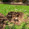 How Green Homes In Maricopa Benefit From Regular Residential Septic System Maintenance?