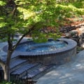 Eco-Friendly Pools for Green Homes in Pleasanton