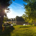 Maximize Your Green Home's Potential With Expert Tree Care In Kalamazoo