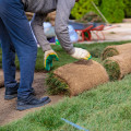 Eco-Friendly Living: How Lawn Fertilizing Services Support Your Green Home Goals
