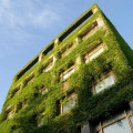 The Benefits of Green Building vs Traditional Building