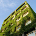 The Benefits of Green Building vs Traditional Building