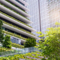 Building a Sustainable Home: Resources and Modernization Methods