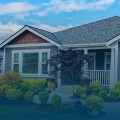 Mold Removal Experts Dedicated To Preserving Green Homes In Charleston, SC