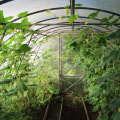 Year-Round Gardening: Exploring The Benefits Of Greenhouse Construction For Ontario's Green Homes