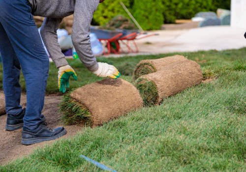 Eco-Friendly Living: How Lawn Fertilizing Services Support Your Green Home Goals