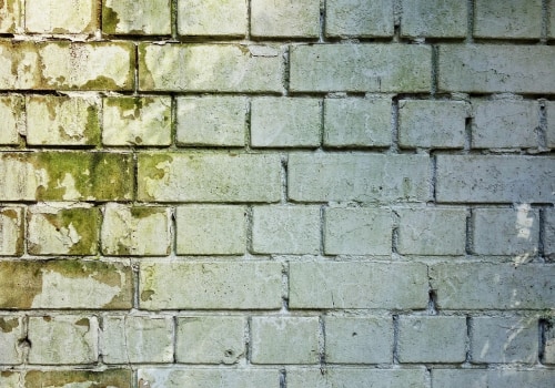 Enhance Your Green Home with Expert Mold Remediation