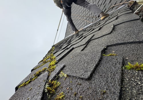 Preserve Efficiency And Comfort: Roof Repair For Green Homes In Monroe