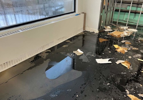 When Disaster Strikes: Water Damage Restoration Service For Green Homes Emergencies In Vancouver