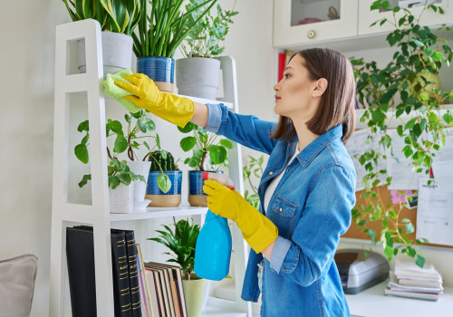 Home Cleaning Services In Seattle, WA: Refresh Your Green Home