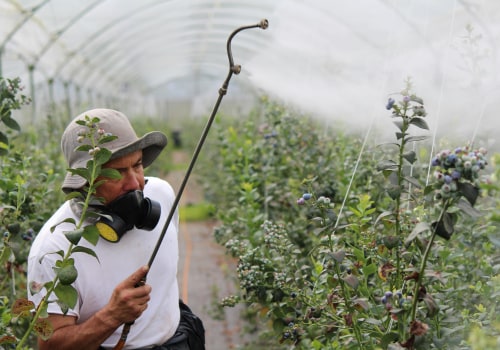 Eco-Friendly Extermination: How Charleston's Pest Control Experts Are Protecting Green Homes