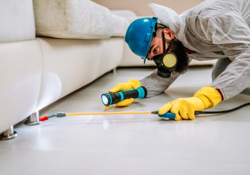 Protecting Your Sustainable Space: Pest Control For Green Homes In Longwood, FL