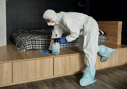 Eco-Conscious Move Out Cleaning Elevating Orlando’s Green Homes Market