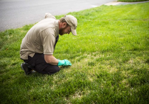 What Should Homeowners Consider When Choosing A Lawn Service Company In Loudoun County That Specializes In Green Home Maintenance