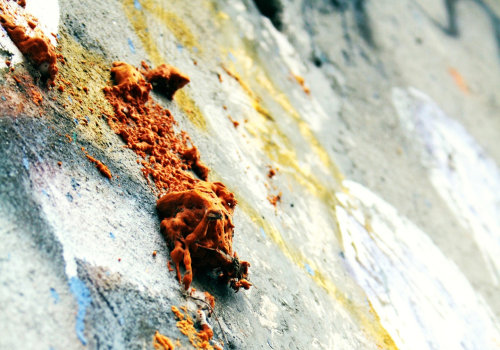 Green Homes and Mold Assessment in St. Petersburg